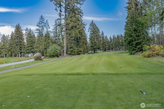 20 E Virginia Ct, Union, WA 98592 - photo 22