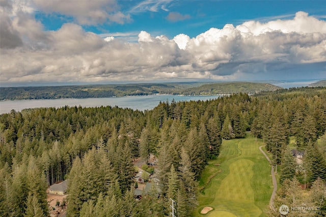 20 E Virginia Ct, Union, WA 98592 - photo 36