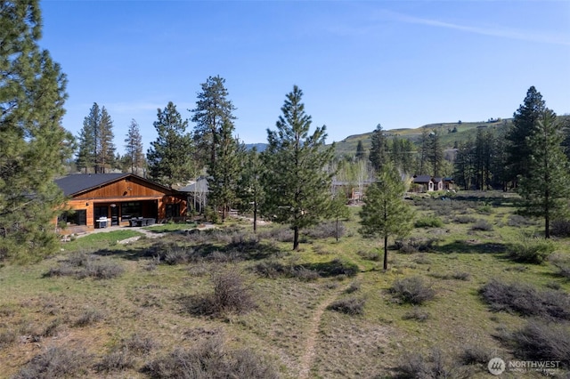 view of yard with a mountain view