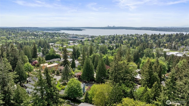 drone / aerial view of a nearby body of water