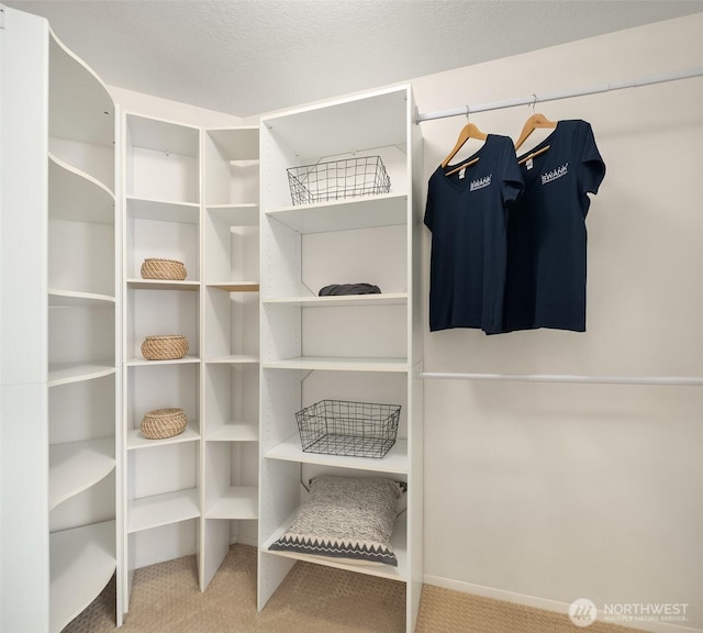 spacious closet featuring carpet flooring