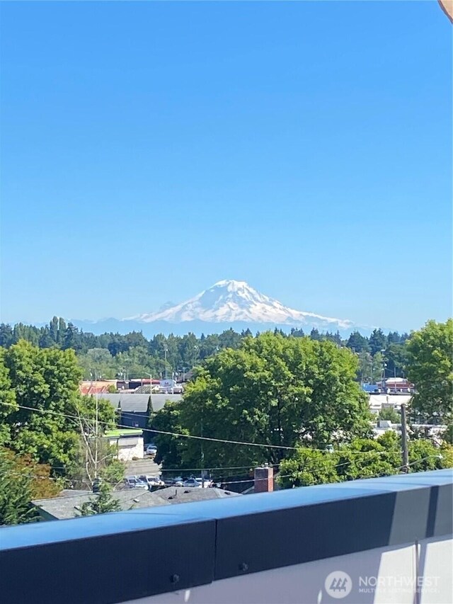 9429 18th Ave SW Unit A, Seattle, WA 98106 - view of mountain background