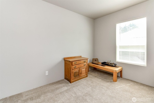 57 Clemons Rd Unit 41, Montesano, WA 98563 - photo 22