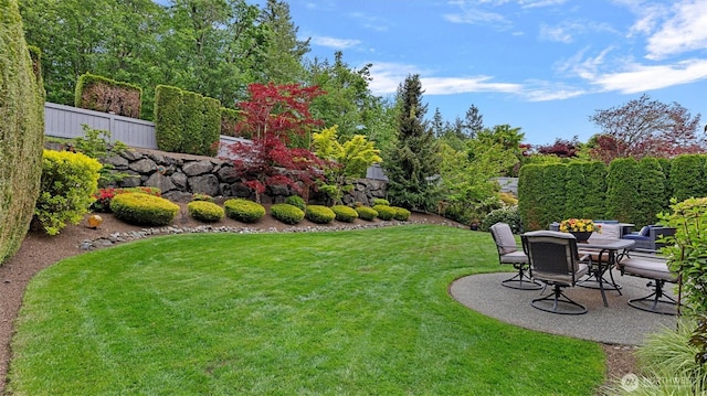 25413 NE 3rd Pl, Sammamish, WA 98074 - view of yard with a patio