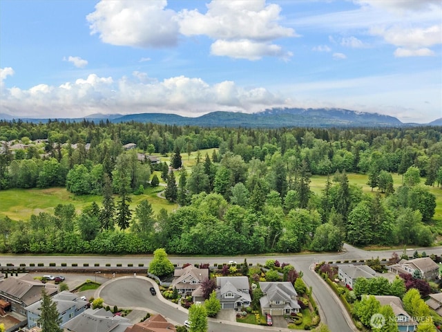 25413 NE 3rd Pl, Sammamish, WA 98074 - aerial perspective of suburban area with mountains and a forest