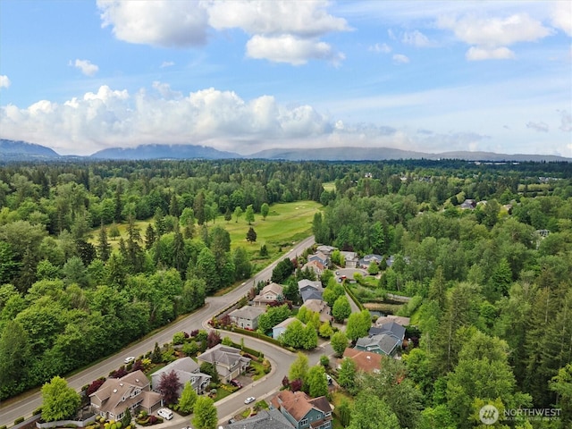 25413 NE 3rd Pl, Sammamish, WA 98074 - aerial perspective of suburban area with a heavily wooded area and a mountain backdrop