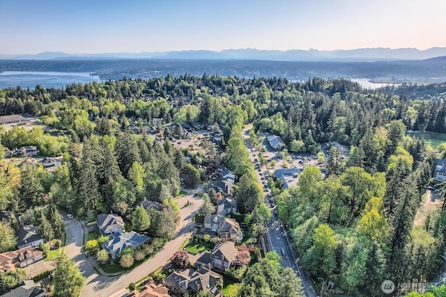 16777 SE 49th SE, Bellevue, WA 98006 - photo 5