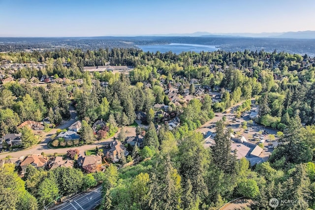 16777 SE 49th SE, Bellevue, WA 98006 - photo 6