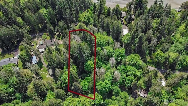111111 SE Somers Dr, Shelton, WA 98584 - photo 1