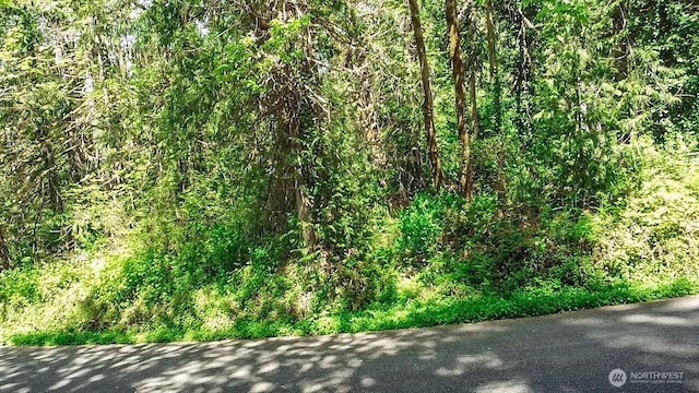 111111 SE Somers Dr, Shelton, WA 98584 - photo 3