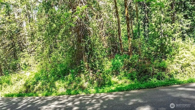 111111 SE Somers Dr, Shelton, WA 98584 - photo 4