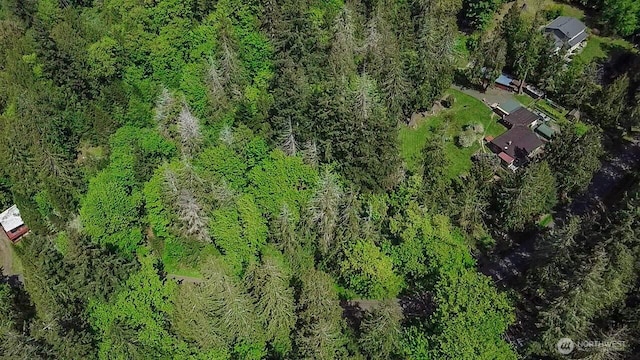 111111 SE Somers Dr, Shelton, WA 98584 - photo 9