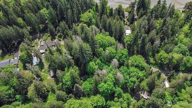 111111 SE Somers Dr, Shelton, WA 98584 - photo 12