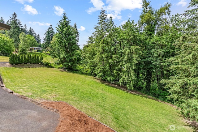 1027 Fishpond Rd, Kelso, WA 98626 - view of grassy yard