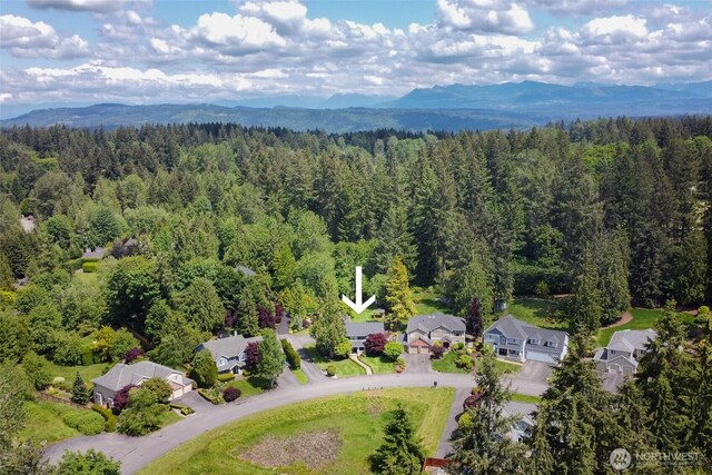 15060 225th Ave NE, Woodinville, WA 98077 - photo 38