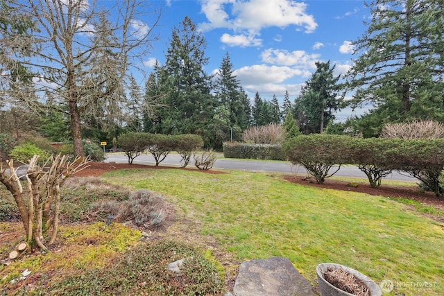 view of yard