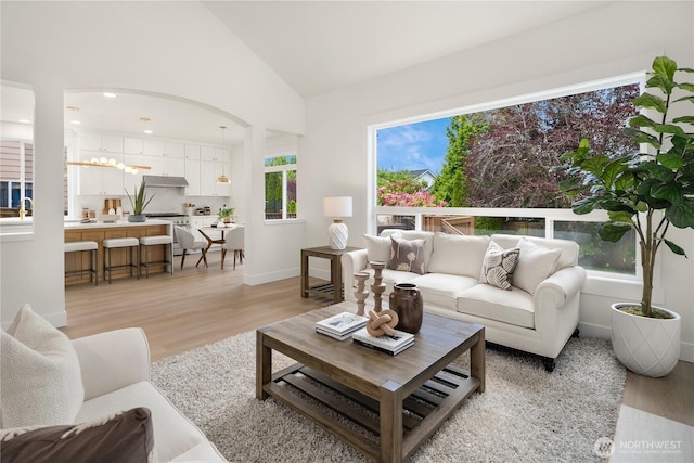 24858 NE 1st Pl, Sammamish, WA 98074 - living area featuring light wood-style floors, lofted ceiling, arched walkways, and baseboards