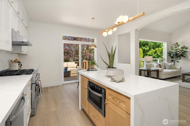 24858 NE 1st Pl, Sammamish, WA 98074 - kitchen featuring under cabinet range hood, appliances with stainless steel finishes, light wood-type flooring, arched walkways, and open floor plan