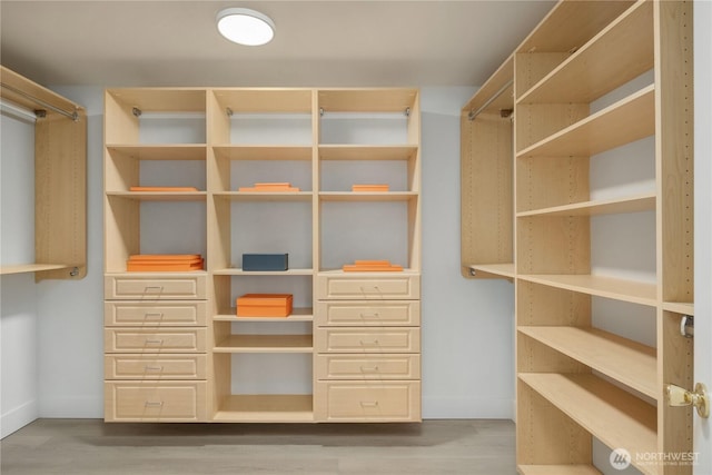 24858 NE 1st Pl, Sammamish, WA 98074 - spacious closet with wood finished floors