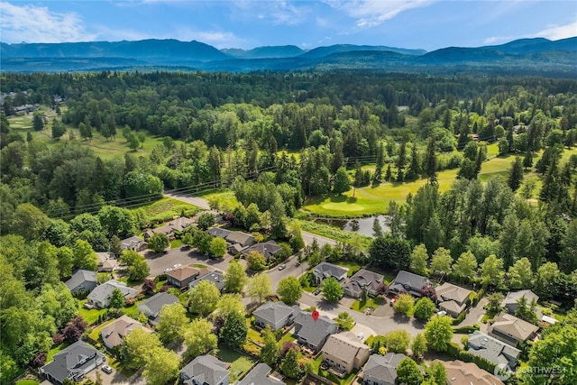 24858 NE 1st Pl, Sammamish, WA 98074 - aerial perspective of suburban area with a heavily wooded area and a mountain backdrop