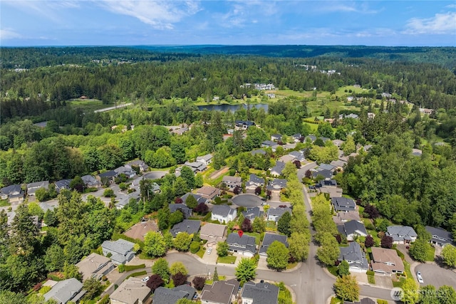 24858 NE 1st Pl, Sammamish, WA 98074 - aerial perspective of suburban area featuring a heavily wooded area and a large body of water