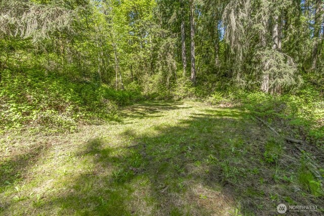 15002 Willow Rd SE, Port Orchard, WA 98367 - photo 37