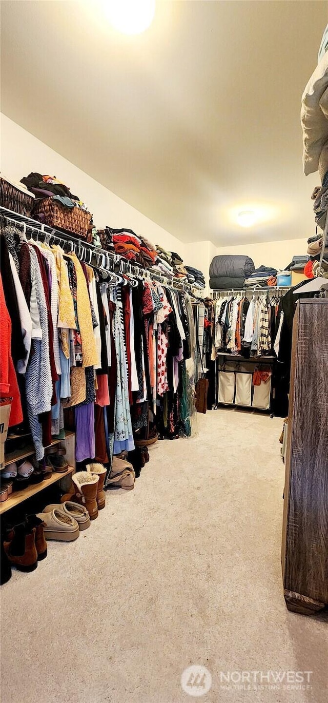 spacious closet featuring carpet floors