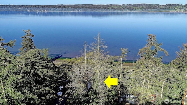 566 Sundin Dr, Camano Island, WA 98282 - property view of water