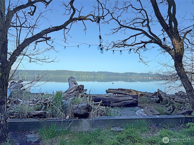 water view