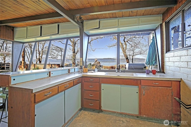 interior space featuring area for grilling and a sink