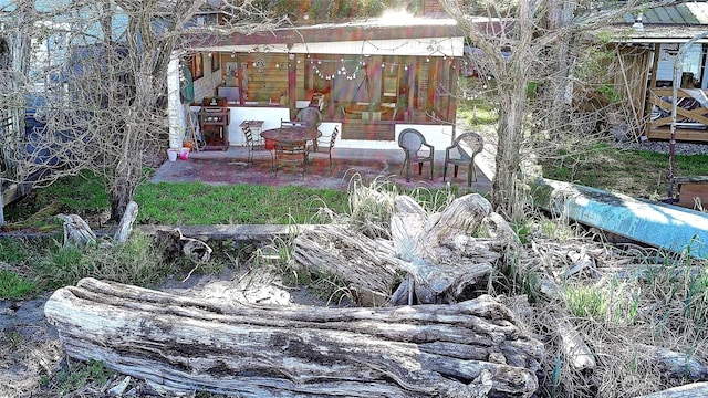 view of yard with a patio area