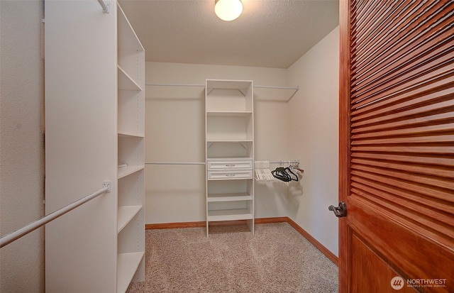 walk in closet featuring light carpet