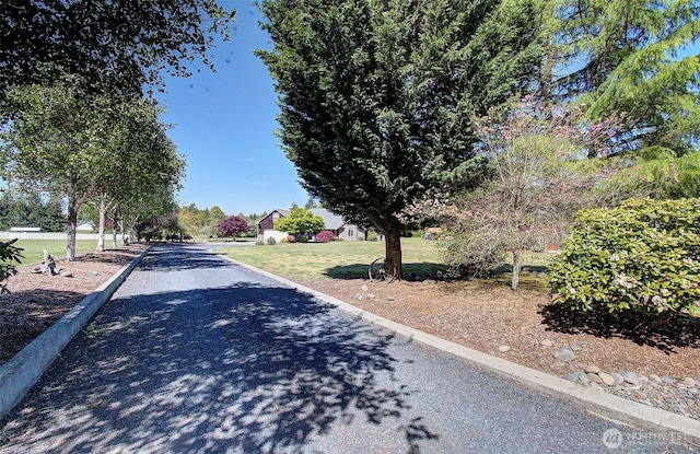 view of street featuring curbs