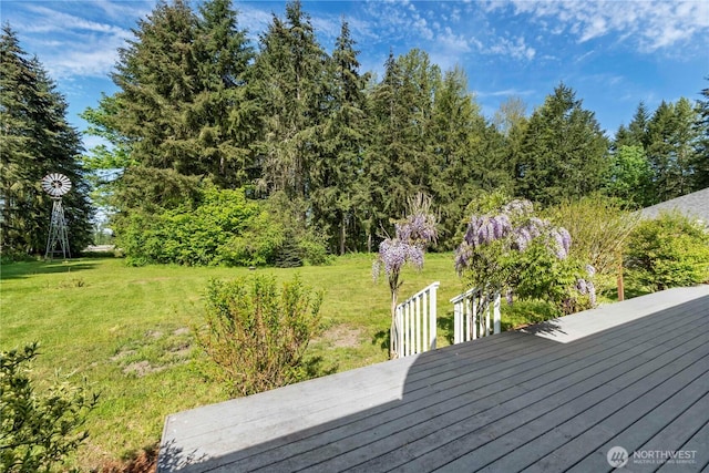 32010 71st Avenue Ct E, Eatonville, WA 98328 - photo 34