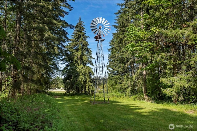 32010 71st Avenue Ct E, Eatonville, WA 98328 - photo 35