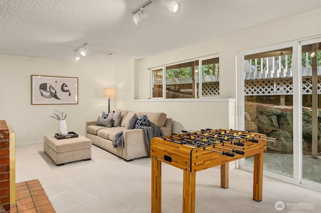 12802 NE 26th Pl, Bellevue, WA 98005 - rec room with track lighting, carpet floors, and a textured ceiling