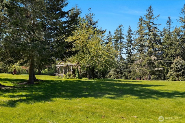 view of yard