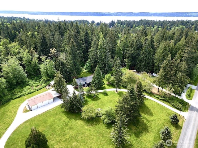 drone / aerial view of a forest and a large body of water
