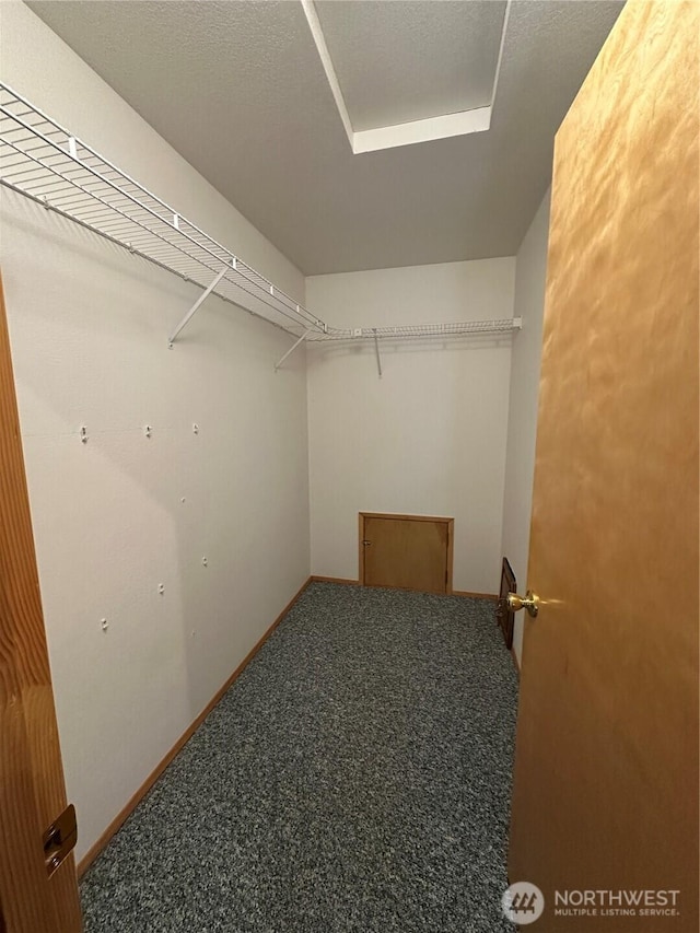 walk in closet featuring carpet