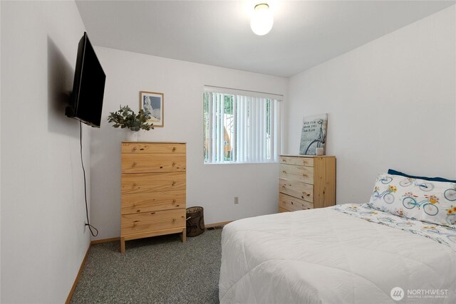62406 Corral Way E, Enumclaw, WA 98022 - photo 13