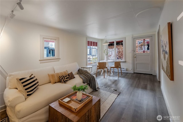 2035 Fairview Ave E Unit D, Seattle, WA 98102 - living room with rail lighting, a baseboard radiator, baseboards, and dark wood finished floors