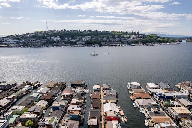 2035 Fairview Ave E Unit D, Seattle, WA 98102 - bird's eye view featuring a water view and a residential view