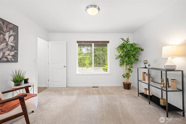 401 E Sunset Ridge Rd, Union, WA 98592 - living area featuring carpet and baseboards