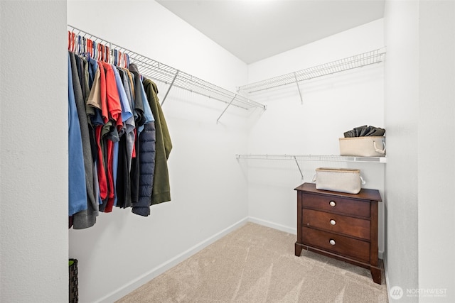 401 E Sunset Ridge Rd, Union, WA 98592 - walk in closet with carpet flooring