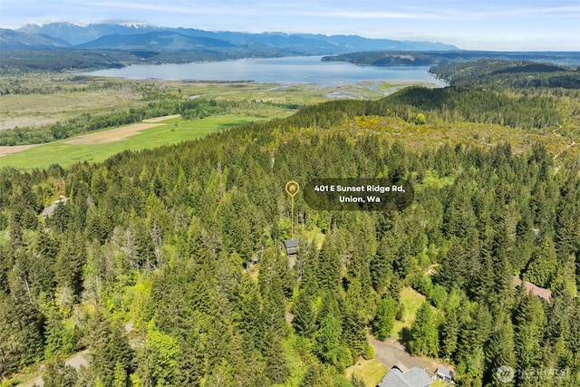 401 E Sunset Ridge Rd, Union, WA 98592 - aerial view of a water and mountain view and a heavily wooded area