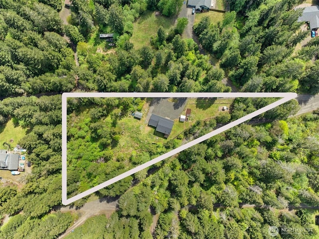 401 E Sunset Ridge Rd, Union, WA 98592 - view of property location with property parcel outlined