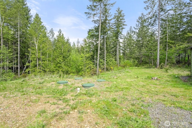 401 E Sunset Ridge Rd, Union, WA 98592 - view of yard with a view of trees