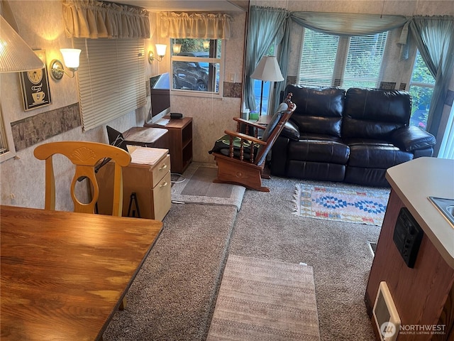 view of carpeted living area