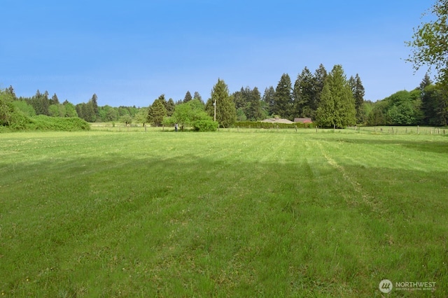 view of green lawn featuring a view of rural / pastoral area