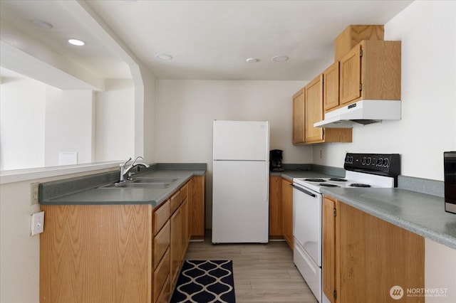 4966 Bradley Ln, Freeland, WA 98249 - kitchen featuring a peninsula, white appliances, light wood-style floors, under cabinet range hood, and a sink
